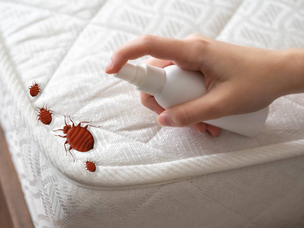 Emergency Pest Control Services in Tiptonville, TN